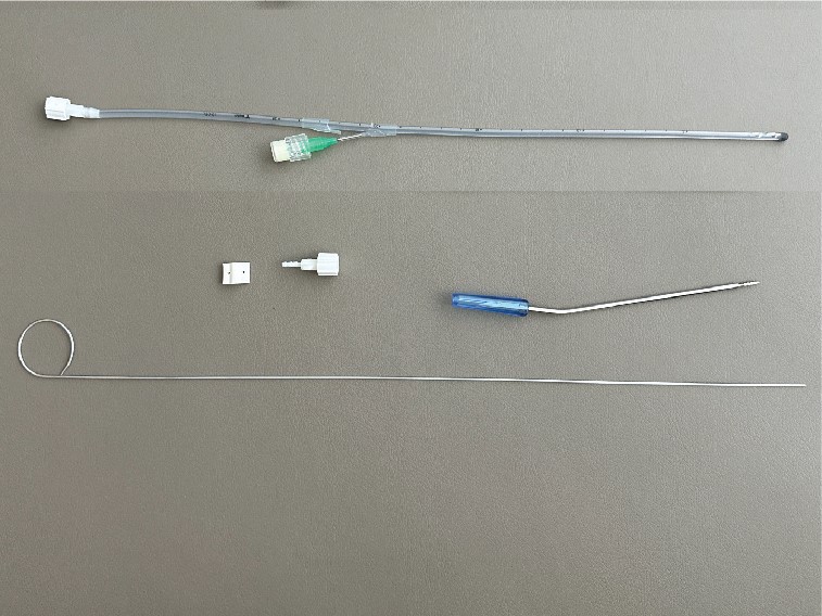 EVD Double Catheter